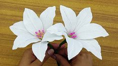 two white flowers being held by someone's hand