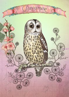 an owl sitting on top of a tree branch with flowers and a banner above it