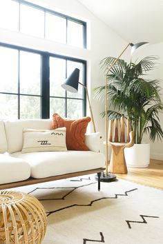 a living room filled with furniture and a large window next to a potted plant