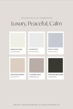 the color scheme for luxury, peaceful, calm and elegant paint palettes in neutral tones