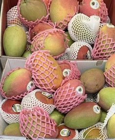 a box filled with lots of different types of fruit inside of mesh netting bags on top of each other