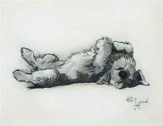 a black and white drawing of a dog laying on it's back with its head down