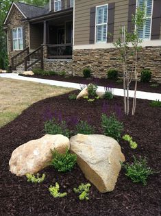 a rock in the middle of a flower bed