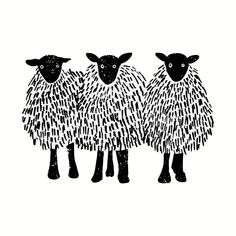 three black and white sheep standing next to each other on a white background with the words,