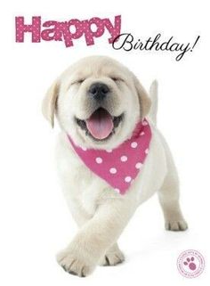 a happy birthday card with a dog wearing a pink polka dot bandana and smiling