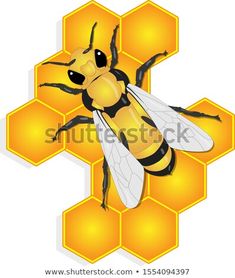 a bee sitting on top of a honeycomb