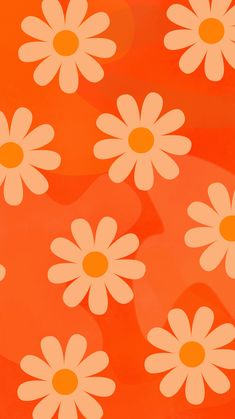 an orange background with white daisies on it