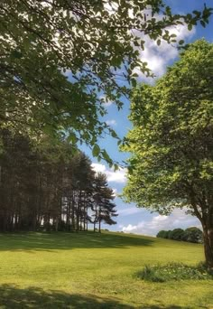 an open field with trees and grass on the ground under a blue sky filled with clouds