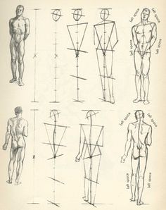 an old book with drawings of men's torsos