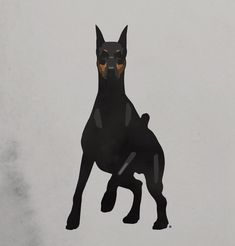 a black and brown dog jumping in the air with its front paws on it's back legs