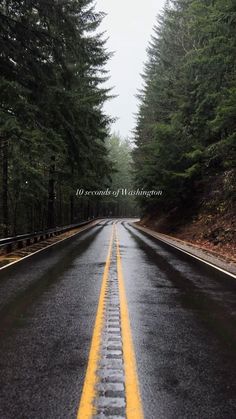 a wet road with yellow lines in the middle and trees lining both sides on either side