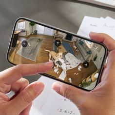 a person holding a cell phone taking a selfie with their dog in the living room