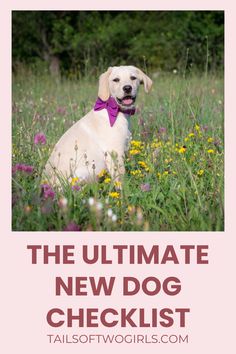 The Ultimate New Dog Checklist Dog Essentials List, New Dog Checklist, Dog Checklist, Puppy Checklist, Dog Advice, Dog Essentials, Dog Hacks, New Dog