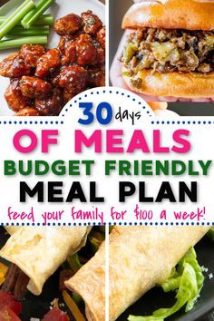 the 30 days of meals budget friendly meal plan