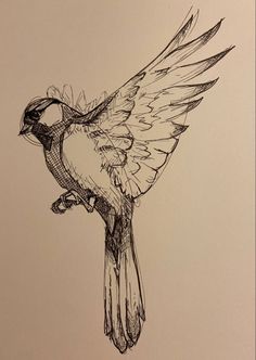 a drawing of a bird flying in the air