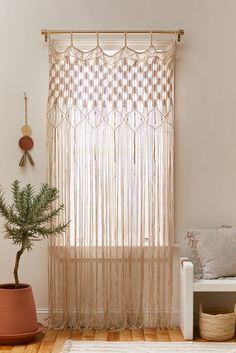 a living room with a potted plant next to a window covered in sheer curtains