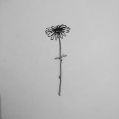 a black and white photo of a single flower on the side of a sheet of paper