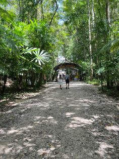 two people walking down a dirt road in the middle of some trees and plants on both sides