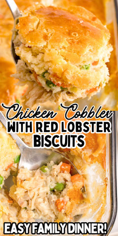 Chicken cobbler casserole in baking dish. Quick Fall Dinner, Red Lobster Biscuit Mix, Chicken Cobbler Recipe, Easy Chicken Casserole, Chicken Cobbler, Lobster Biscuits, Family Dinner Recipe, Red Lobster Biscuits, Easy Family Dinner