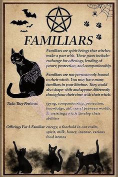 Black Cat Witchcraft, Witches Quotes, Witch Knowledge, Spell Ingredients, Cheers Witches, Witch Shirts, Black Cat Witch, Witches Familiar