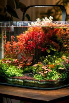 a fish tank filled with lots of different types of plants and flowers on top of a table