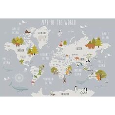 an illustrated map of the world with animals