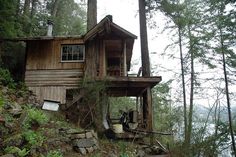 an old wooden cabin in the woods with water and trees around it's base