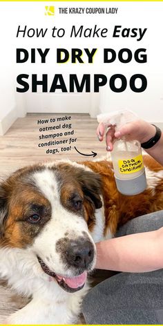 a dog is being groomed by its owner with the words how to make easy diy dry dog shampoo