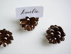 three pine cones are placed next to each other on a white surface with a name tag