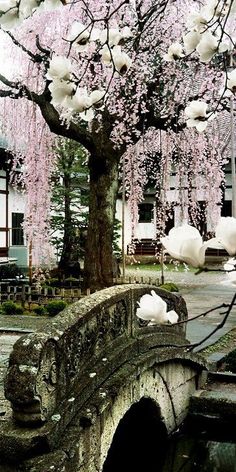 an old stone bridge with flowers on it and trees in the background, near a building