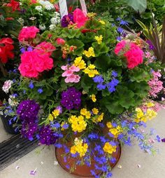 a potted plant filled with lots of different colored flowers