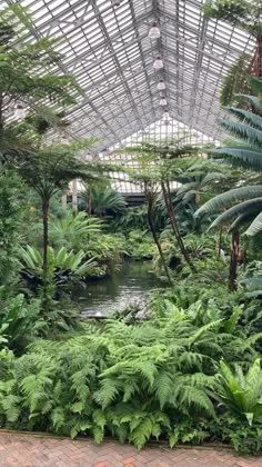 Garfield Park Conservatory Garfield Park Conservatory, Tropical Greenhouses, Landscape Design Drawings, Fine Gardening, Parking Design, Garden Tours, Forest Park, Nature Garden, Garden Photos