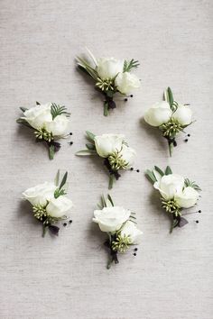 six white flowers are arranged on a table