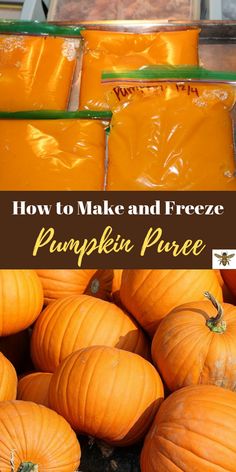 pumpkins in plastic bags with text overlay how to make and freeze pumpkin puree