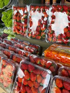 many plastic containers filled with strawberries on display