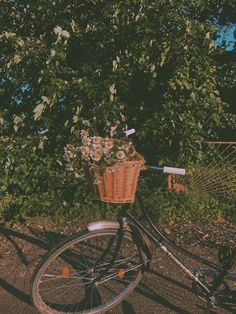 a bicycle with a basket full of flowers