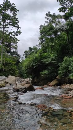 a river running through a forest filled with lots of rocks and trees on top of it