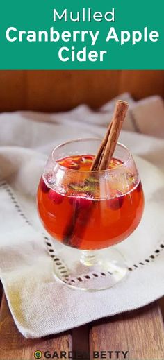 mulled cranberry apple cider in a glass with cinnamon stick garnish