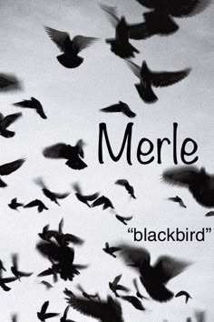 a flock of birds flying in the sky with words merle on it's side