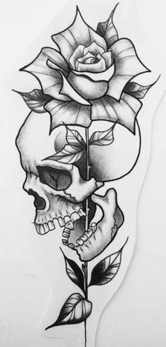 a drawing of a skull with a rose on it