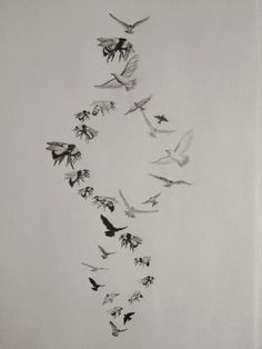 a drawing of birds flying in the air