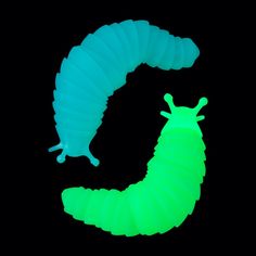 a neon green caterpillar glows in the dark