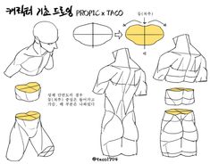 Taco Drawing, Anatomy Tutorial, Manga Drawing Tutorials, Body Anatomy