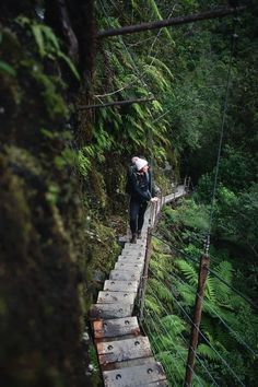 a man walking across a suspension bridge in the forest with trees and plants on both sides