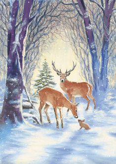 two deer standing in the snow next to trees and a small dog looking at them