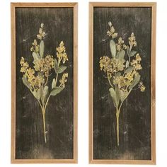 two framed paintings with yellow flowers on them