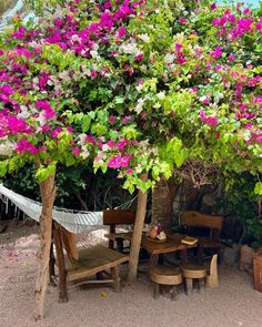 a hammock is set up under a tree with pink flowers on the top