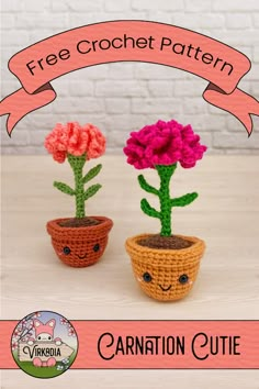 two small crocheted potted plants with pink and red flowers in them, one is