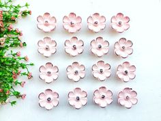 pink flowers are arranged on a white surface