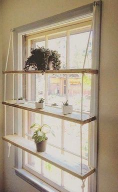 a window sill with plants on top of it